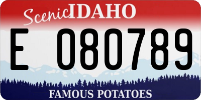 ID license plate E080789