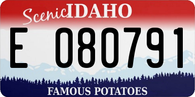 ID license plate E080791
