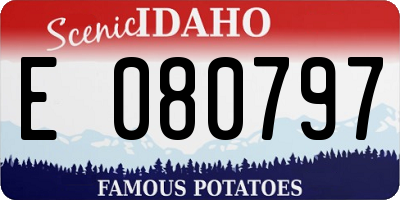 ID license plate E080797