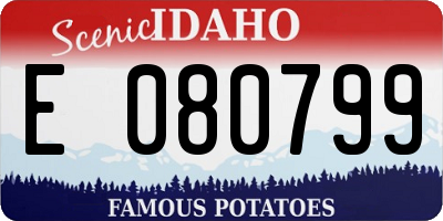 ID license plate E080799