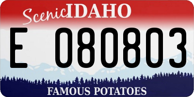 ID license plate E080803