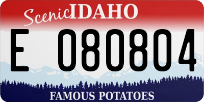 ID license plate E080804