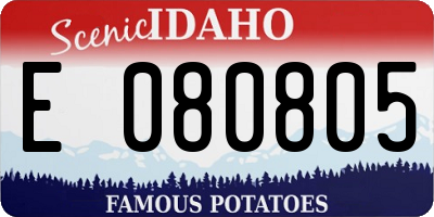 ID license plate E080805
