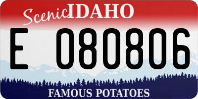 ID license plate E080806