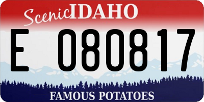 ID license plate E080817