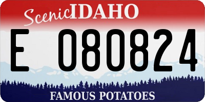 ID license plate E080824