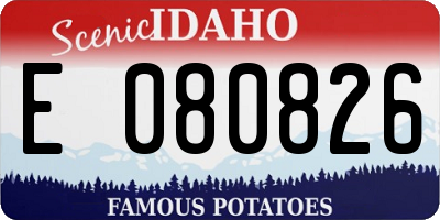 ID license plate E080826