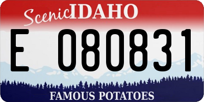 ID license plate E080831