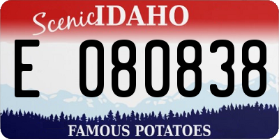 ID license plate E080838
