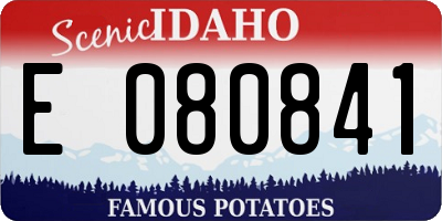 ID license plate E080841