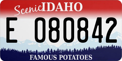 ID license plate E080842