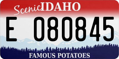 ID license plate E080845