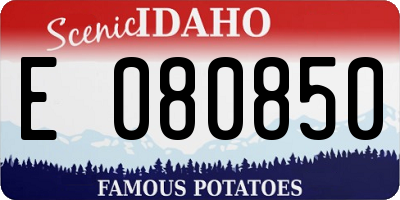 ID license plate E080850