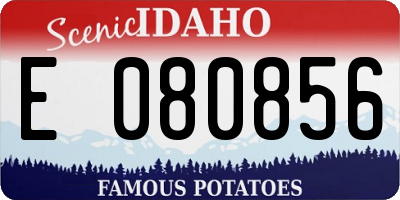 ID license plate E080856