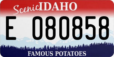 ID license plate E080858