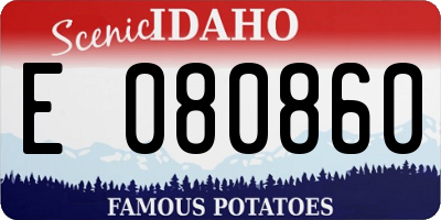ID license plate E080860