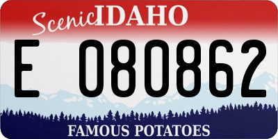 ID license plate E080862