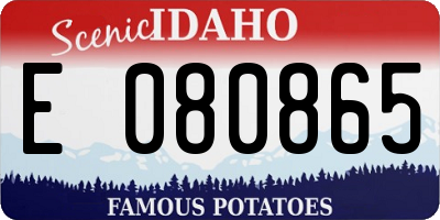 ID license plate E080865