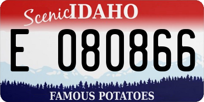 ID license plate E080866