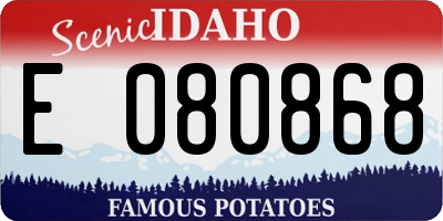ID license plate E080868