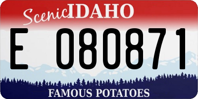 ID license plate E080871