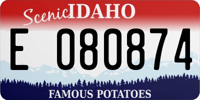 ID license plate E080874
