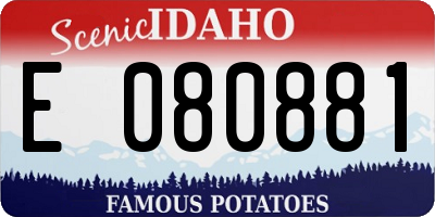 ID license plate E080881