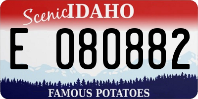 ID license plate E080882