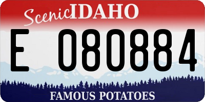 ID license plate E080884