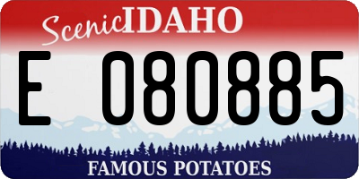 ID license plate E080885