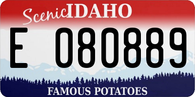 ID license plate E080889