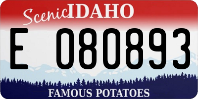 ID license plate E080893