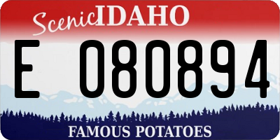 ID license plate E080894