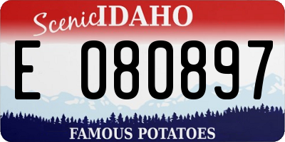 ID license plate E080897