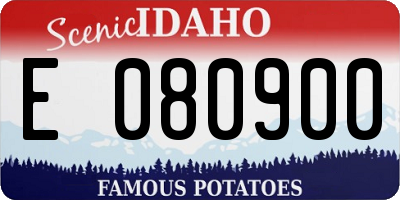 ID license plate E080900