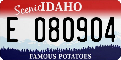 ID license plate E080904