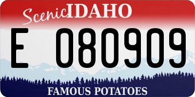 ID license plate E080909