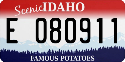 ID license plate E080911