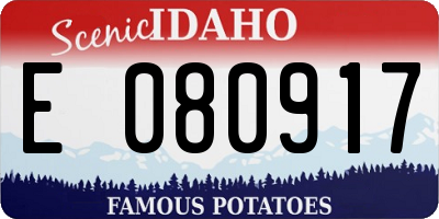 ID license plate E080917