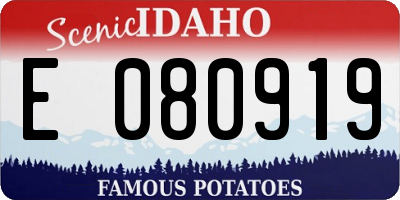 ID license plate E080919