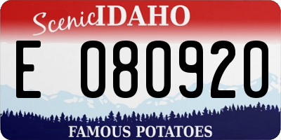 ID license plate E080920