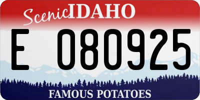 ID license plate E080925