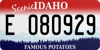 ID license plate E080929