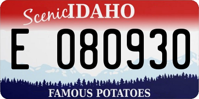 ID license plate E080930