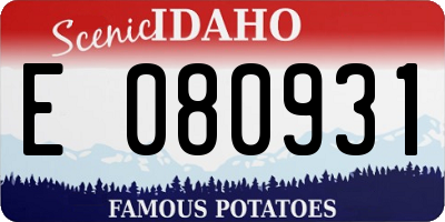 ID license plate E080931