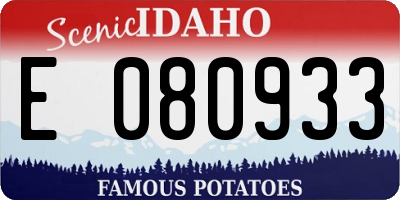 ID license plate E080933