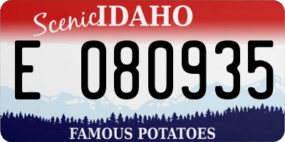 ID license plate E080935