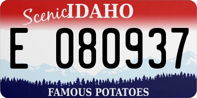 ID license plate E080937