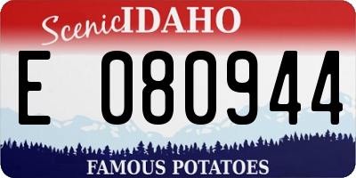 ID license plate E080944