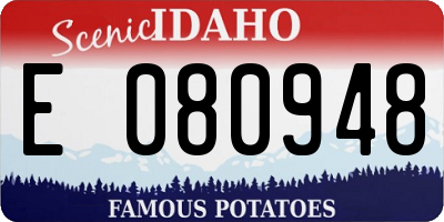 ID license plate E080948